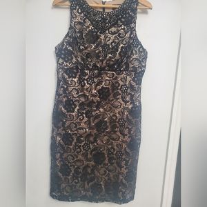 Dressbarn lace dress